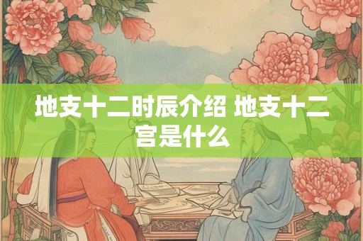 地支十二时辰介绍 地支十二宫是什么