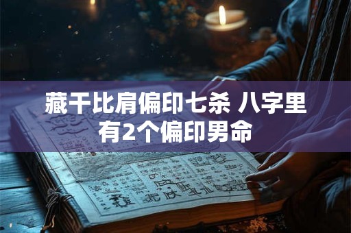藏干比肩偏印七杀 八字里有2个偏印男命