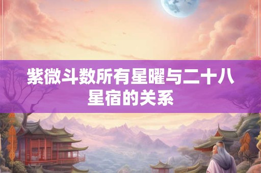 紫微斗数所有星曜与二十八星宿的关系