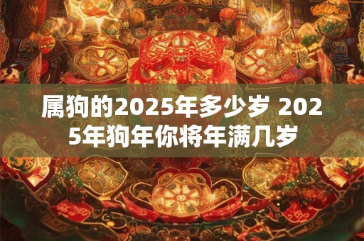 属狗的2025年多少岁 2025年狗年你将年满几岁