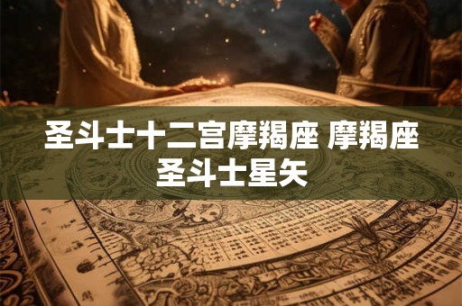 圣斗士十二宫摩羯座 摩羯座圣斗士星矢
