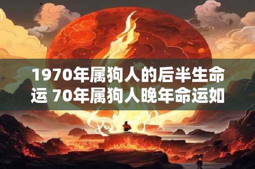 1970年属狗人的后半生命运 70年属狗人晚年命运如何