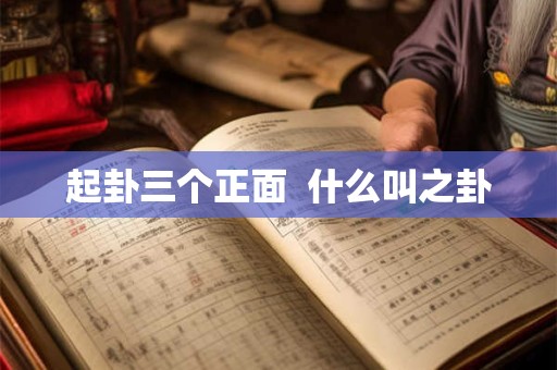 起卦三个正面  什么叫之卦