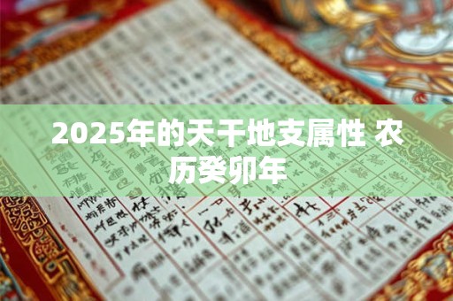 2025年的天干地支属性 农历癸卯年