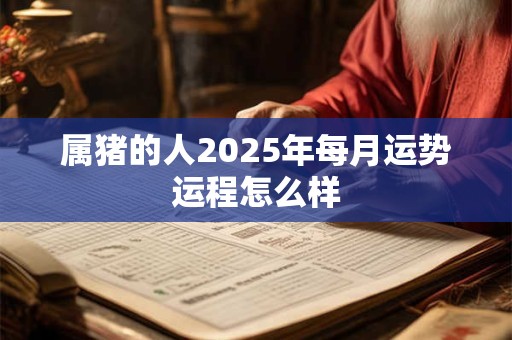 属猪的人2025年每月运势运程怎么样