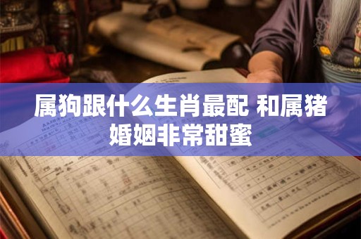 属狗跟什么生肖最配 和属猪婚姻非常甜蜜