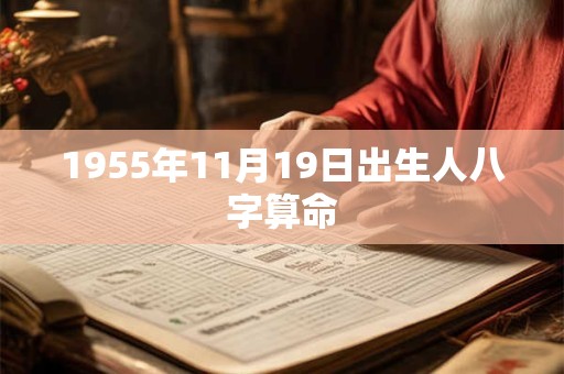 1955年11月19日出生人八字算命