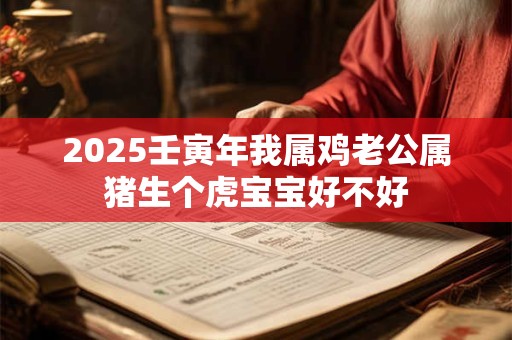 2025壬寅年我属鸡老公属猪生个虎宝宝好不好