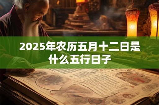 2025年农历五月十二日是什么五行日子