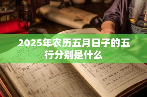 2025年农历五月日子的五行分别是什么