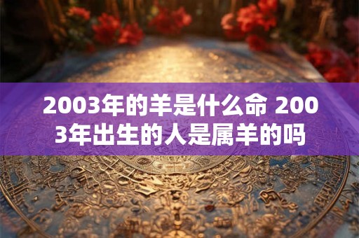 2003年的羊是什么命 2003年出生的人是属羊的吗