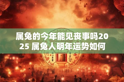 属兔的今年能见丧事吗2025 属兔人明年运势如何