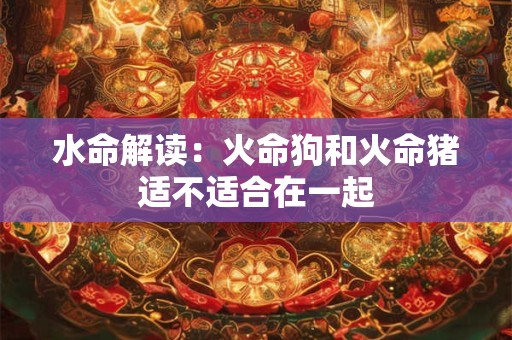 水命解读：火命狗和火命猪适不适合在一起