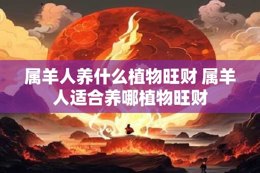 属羊人养什么植物旺财 属羊人适合养哪植物旺财