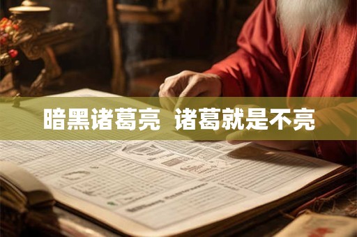 暗黑诸葛亮  诸葛就是不亮