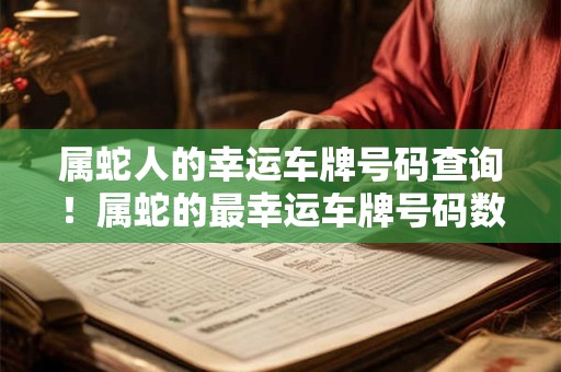 属蛇人的幸运车牌号码查询！属蛇的最幸运车牌号码数字