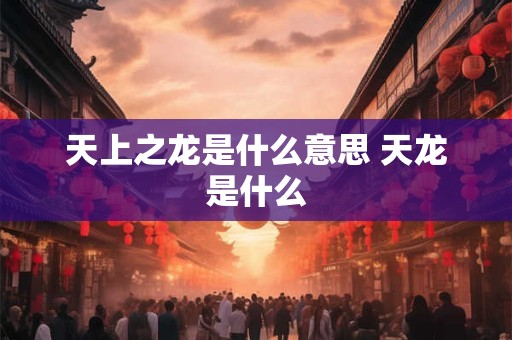 天上之龙是什么意思 天龙是什么
