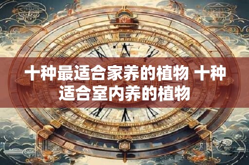 十种最适合家养的植物 十种适合室内养的植物
