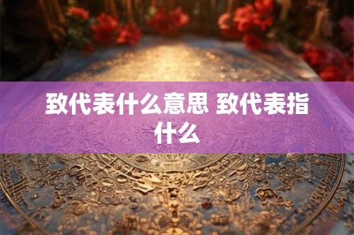 致代表什么意思 致代表指什么