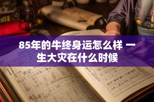 85年的牛终身运怎么样 一生大灾在什么时候