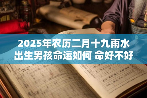 2025年农历二月十九雨水出生男孩命运如何 命好不好
