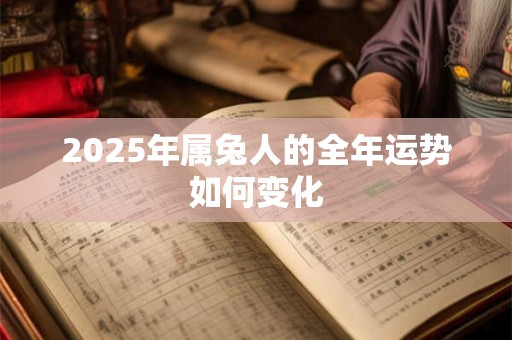 2025年属兔人的全年运势如何变化