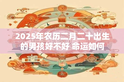 2026年农历二月二十出生的男孩好不好 命运如何