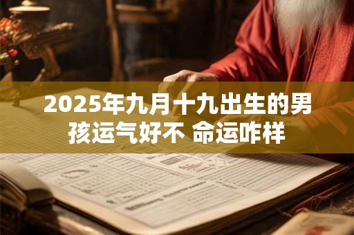 2025年九月十九出生的男孩运气好不 命运咋样