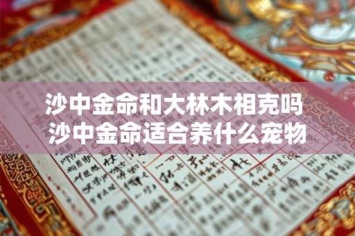 沙中金命和大林木相克吗 沙中金命适合养什么宠物 沙中金命和大林木相克吗 沙中金命适合养什么宠物