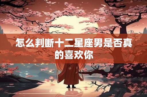 怎么判断十二星座男是否真的喜欢你