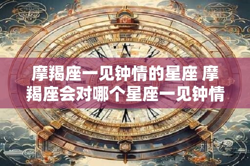 摩羯座一见钟情的星座 摩羯座会对哪个星座一见钟情