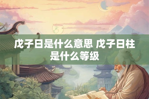 戊子日是什么意思 戊子日柱是什么等级