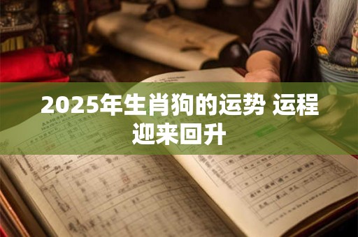 2025年生肖狗的运势 运程迎来回升