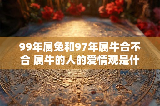 99年属兔和97年属牛合不合 属牛的人的爱情观是什么样
