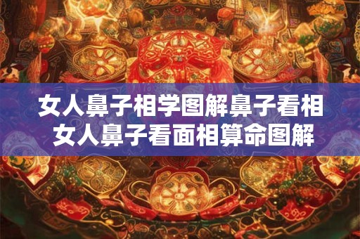 女人鼻子相学图解鼻子看相 女人鼻子看面相算命图解