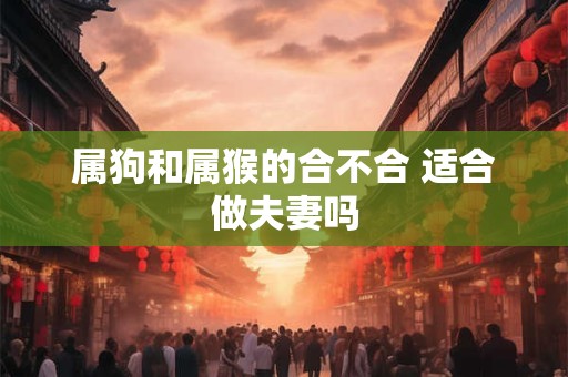 属狗和属猴的合不合 适合做夫妻吗