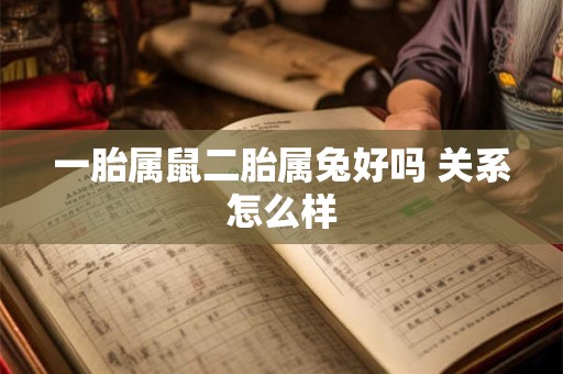 一胎属鼠二胎属兔好吗 关系怎么样