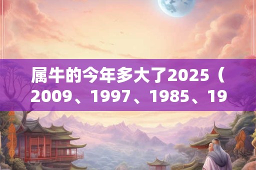 属牛的今年多大了2025（2009、1997、1985、1973、1961）
