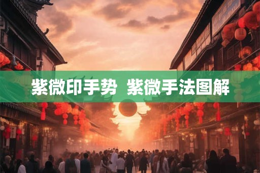 紫微印手势  紫微手法图解