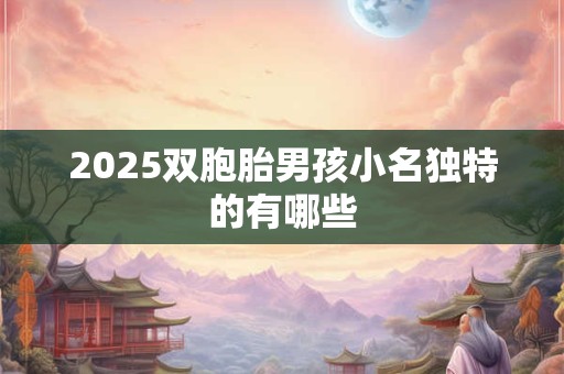 2026双胞胎男孩小名独特的有哪些