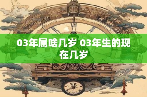 03年属啥几岁 03年生的现在几岁