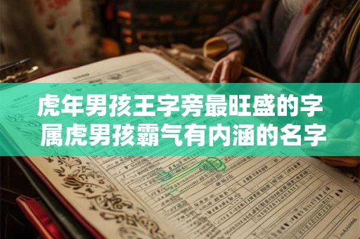 虎年男孩王字旁最旺盛的字 属虎男孩霸气有内涵的名字