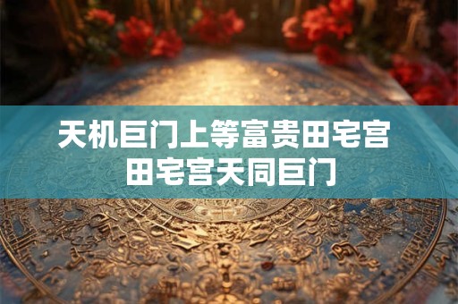 天机巨门上等富贵田宅宫 田宅宫天同巨门