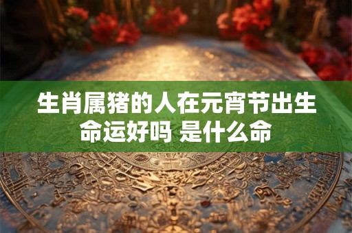 生肖属猪的人在元宵节出生命运好吗 是什么命