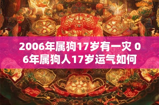 2006年属狗17岁有一灾 06年属狗人17岁运气如何 2006年属狗17岁有一灾 06年属狗人17岁运气如何