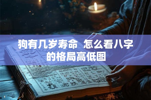 狗有几岁寿命  怎么看八字的格局高低图