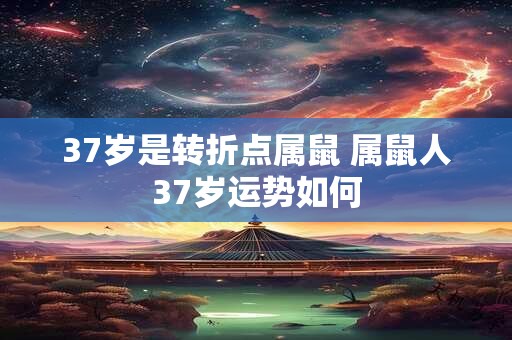 37岁是转折点属鼠 属鼠人37岁运势如何