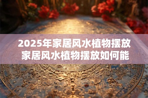 2025年家居风水植物摆放 家居风水植物摆放如何能够吸引好运于2025