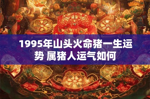 1995年山头火命猪一生运势 属猪人运气如何