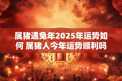 属猪遇兔年2025年运势如何 属猪人今年运势顺利吗